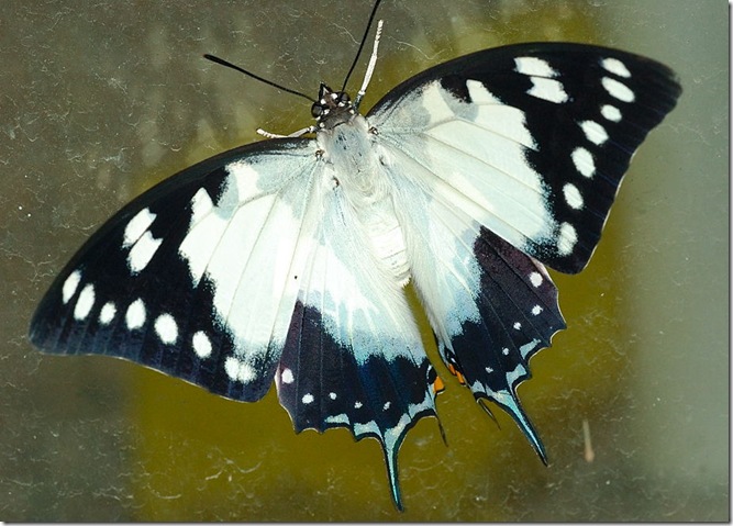 PWC_7864
