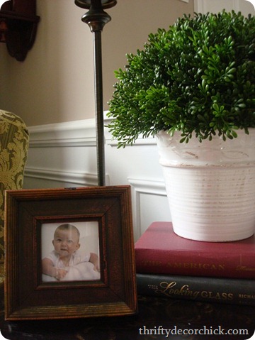faux boxwood