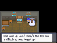 Pokemon Snow Warning Screenshot 00