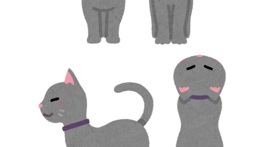 いろいろな角度から見た猫のイラスト かわいいフリー素材集 いらすとや