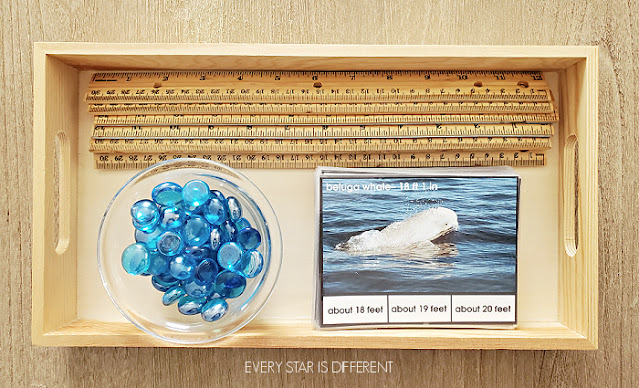 How Big are Dolphins and Whales? Estimating Length Clip Cards