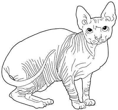 La Chachipedia Dibujos de gatos para colorear para 