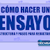 Cómo hacer un ensayo, estructura y pasos para redactarlo