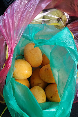 Beli Buah Kundang Madu di R&R Pagoh