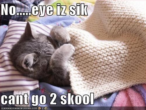 funny-pictures-cat-is-sick-and-cannot-go-to-school.jpg