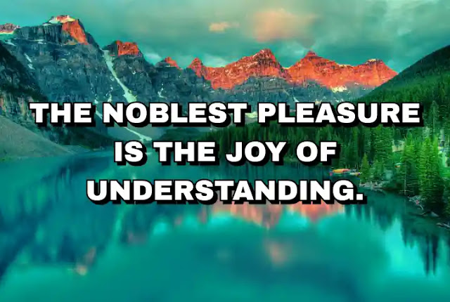 The noblest pleasure is the joy of understanding. Leonardo da Vinci