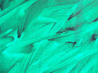 detail from Green painting