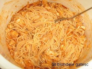 spaghete cu sos si pui