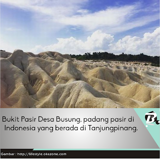 Bupugu - Bukit Pasir Desa Busung