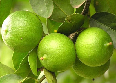 el limón ayuda a combatir el cáncer