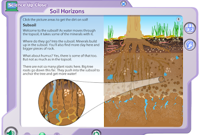 http://www.harcourtschool.com/activity/science_up_close/309/deploy/interface.swf