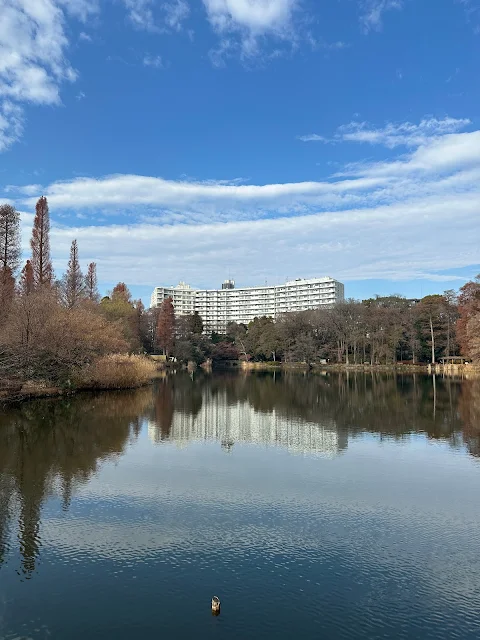 2023年末の井の頭公園の風景