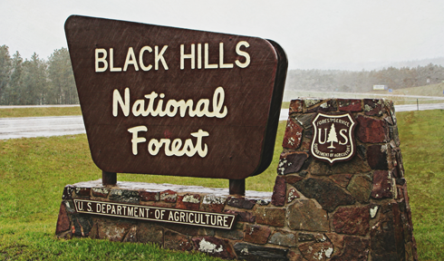 Black Hills National Forest