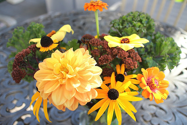 The Impatient Gardener -- The Garden Appreciation Society