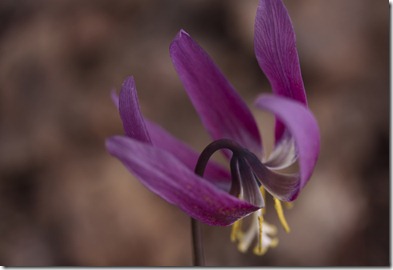 IMG_8033_edit