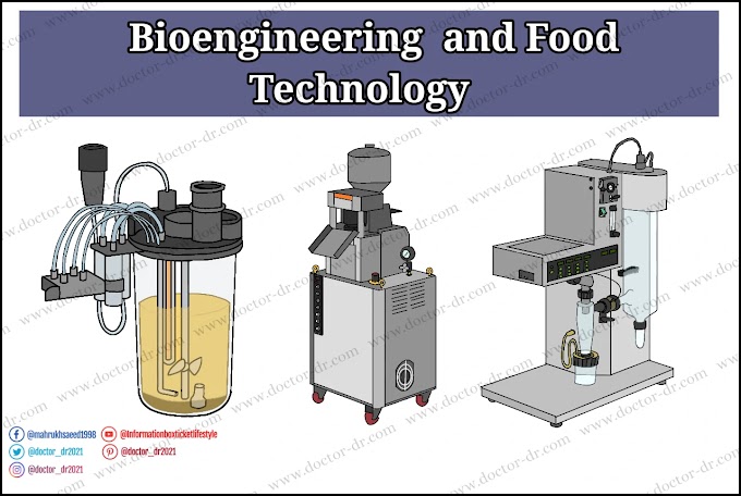 Food Technology, Bioengineering, and Bioreactors