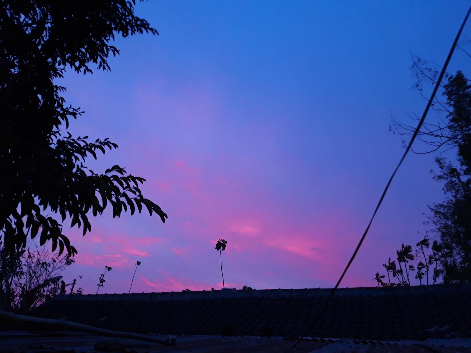 Langit Biru Kebebasan Langit Senja Yang Tak Terlupakan