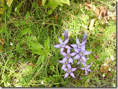 PICT0610