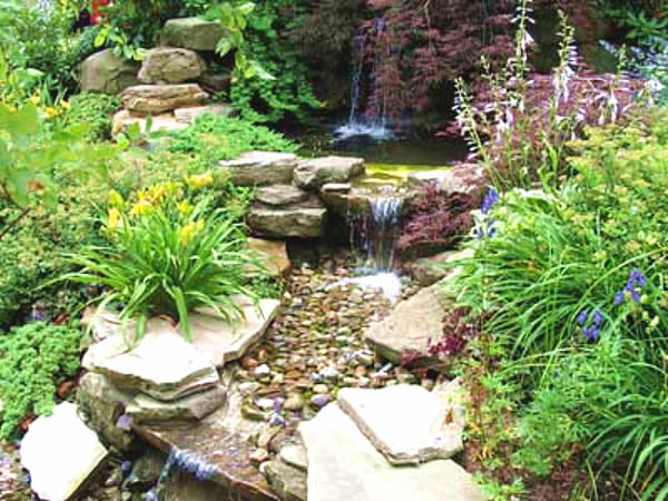 Rock Garden Ideas