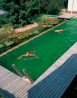 the LETTER K: Natural swimming pools