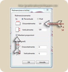 ridimensiona immagine con paint