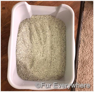 Precious cat litter in the litter box.