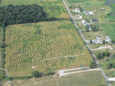 Amazing 14-levels Andrew Luck corn maze
