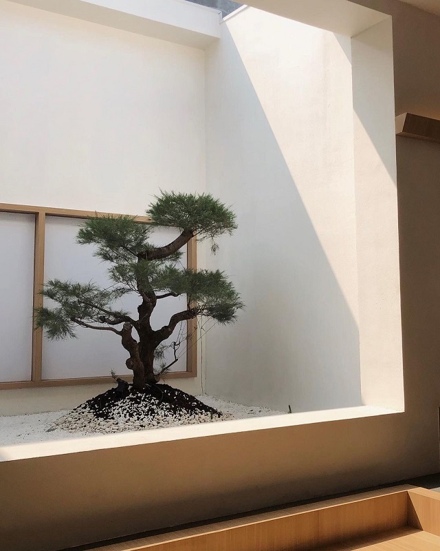 bonsai kosaku coffee lab surabaya