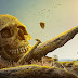  Skull Island Photoshop Manipulation