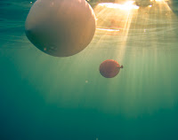 Balloon Under Water