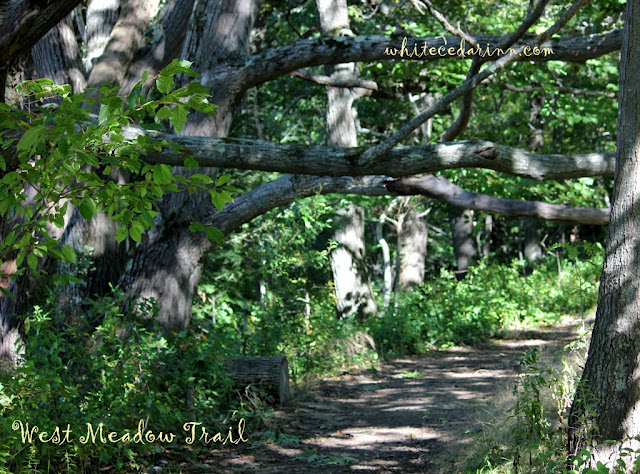 West Meadow Trail at Gilsland Farm Audubon