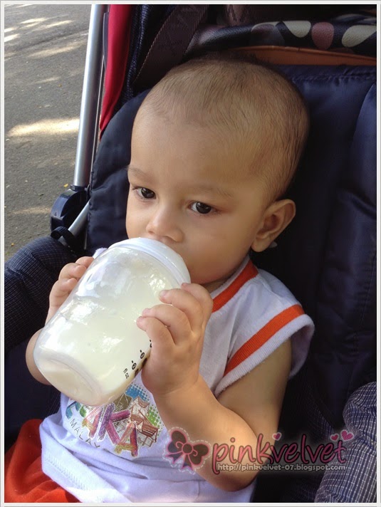 Zoo, Taiping, Stroller, Tommy, Tippee