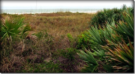 beach_view