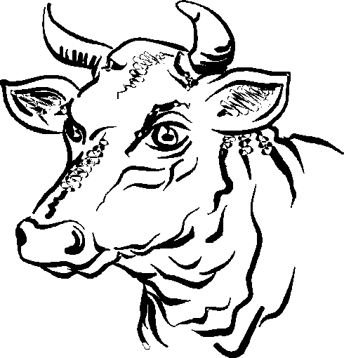 Image result for imagen de un toro con seis patas