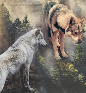 http://destiny-of-wolves.blogspot.com/