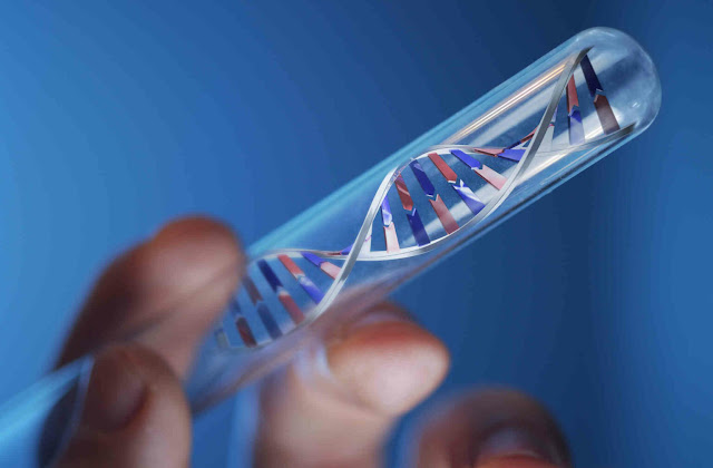 DNA Extraction Kits Market