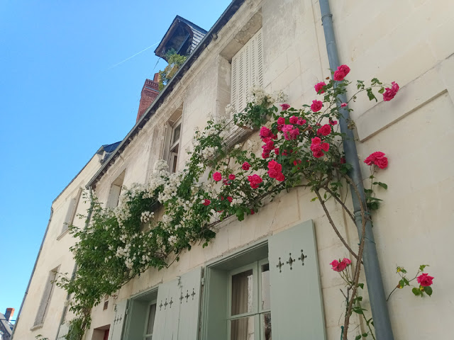Rose covered house, Indre et Loire, France. Photo by Loire Valley Time Travel.