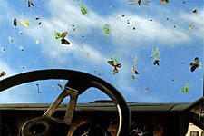 bugs on a windshield