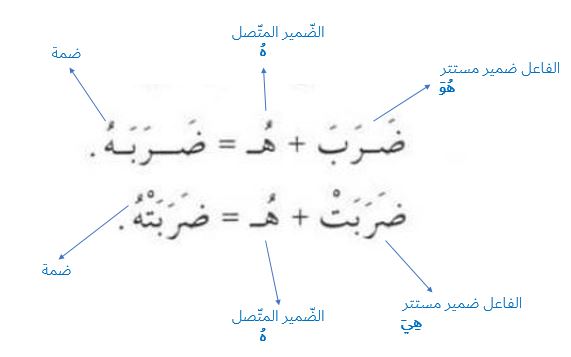 damir muttasil mansub ه dammah