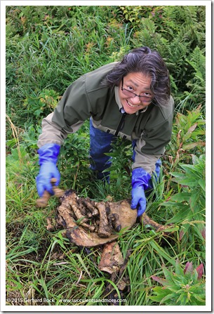 150908_Adak_Elaine_with_sea_lion_bone2_WM