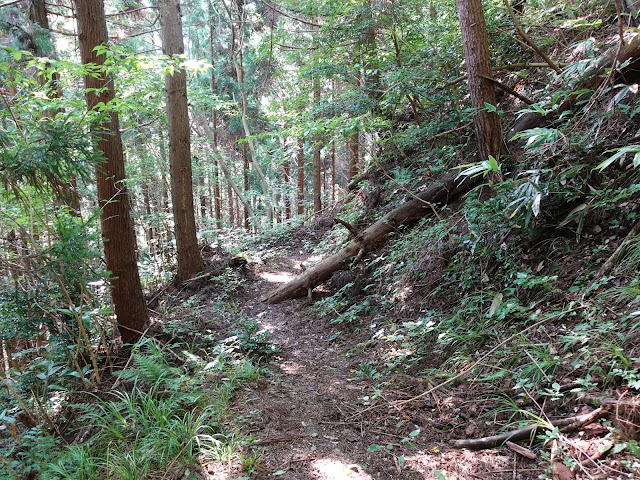 鳥取県西伯郡南部町東上の鎌倉山に登ります