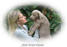 Silver Brook Kennel