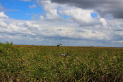 I landed at Fort Lauderdale Airport and drove out to Big Cypress National . (img)