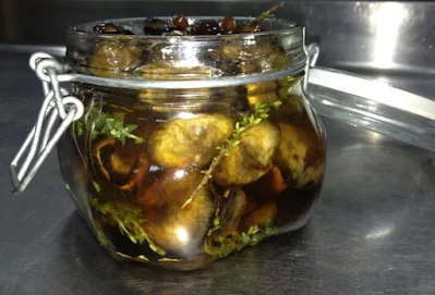 Mushroom Based Marmalades