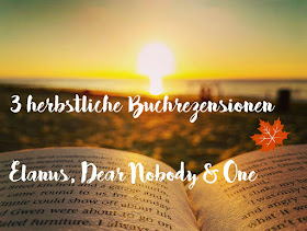 herbstliche-buchvorstellungen-elanus-one-dear-nobody-blog