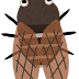 [最も選択された] イラスト クマゼミ 297519-クマゼミ ��化 イラスト