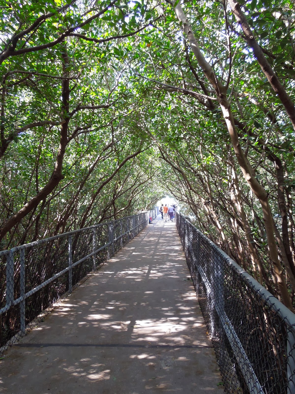 nature trail