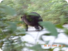 DSCN0148
