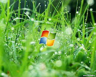 Windows XP Achtergrond met logo en gras