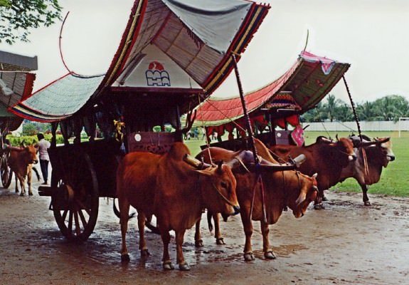 Senarai Tempat-Tempat Pelancongan Menarik Di Malaysia, Percutian menarik malaysia, KELANTAN, TERENGGANU, PERLIS, PAHANG, PERAK, KEDAH, PULAU PINANG,  NEGERI SEMBILAN, MELAKA, JOHOR, SABAH, SARAWAK, KUALA LUMPUR , SELANGOR,